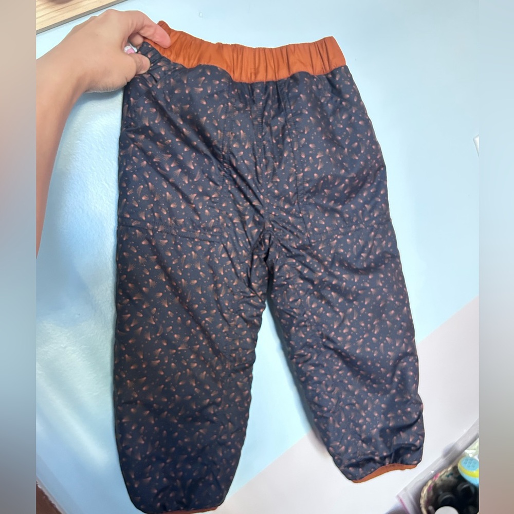 patagonia reversible tribbles sherpa pants